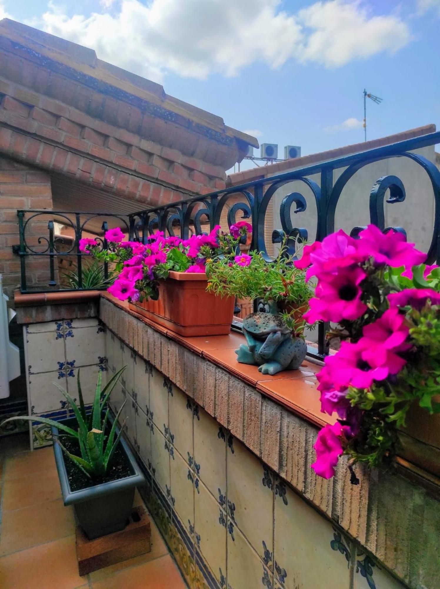 Hostal La Cepa Aldeanueva de Ebro Buitenkant foto